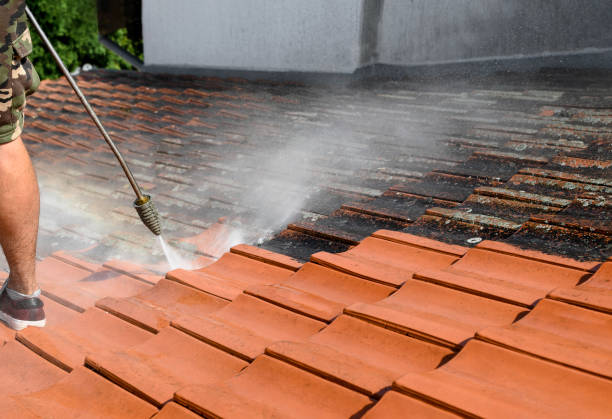 Best Fence Pressure Washing  in El Paso De Robles, CA
